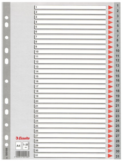 SEPARATOARE INDEX PLASTIC 1-31 ESSELTE