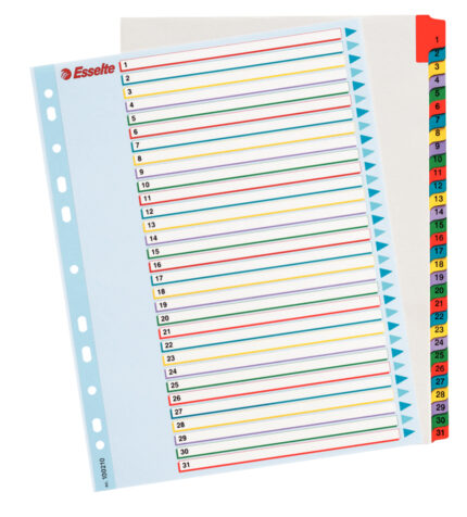 SEPARATOARE INDEX PLASTIC 1-31 REINSCRIPTIBIL ESSELTE