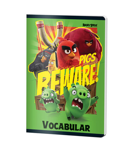 VOCABULAR 24F ANGRY BIRDS PIGNA