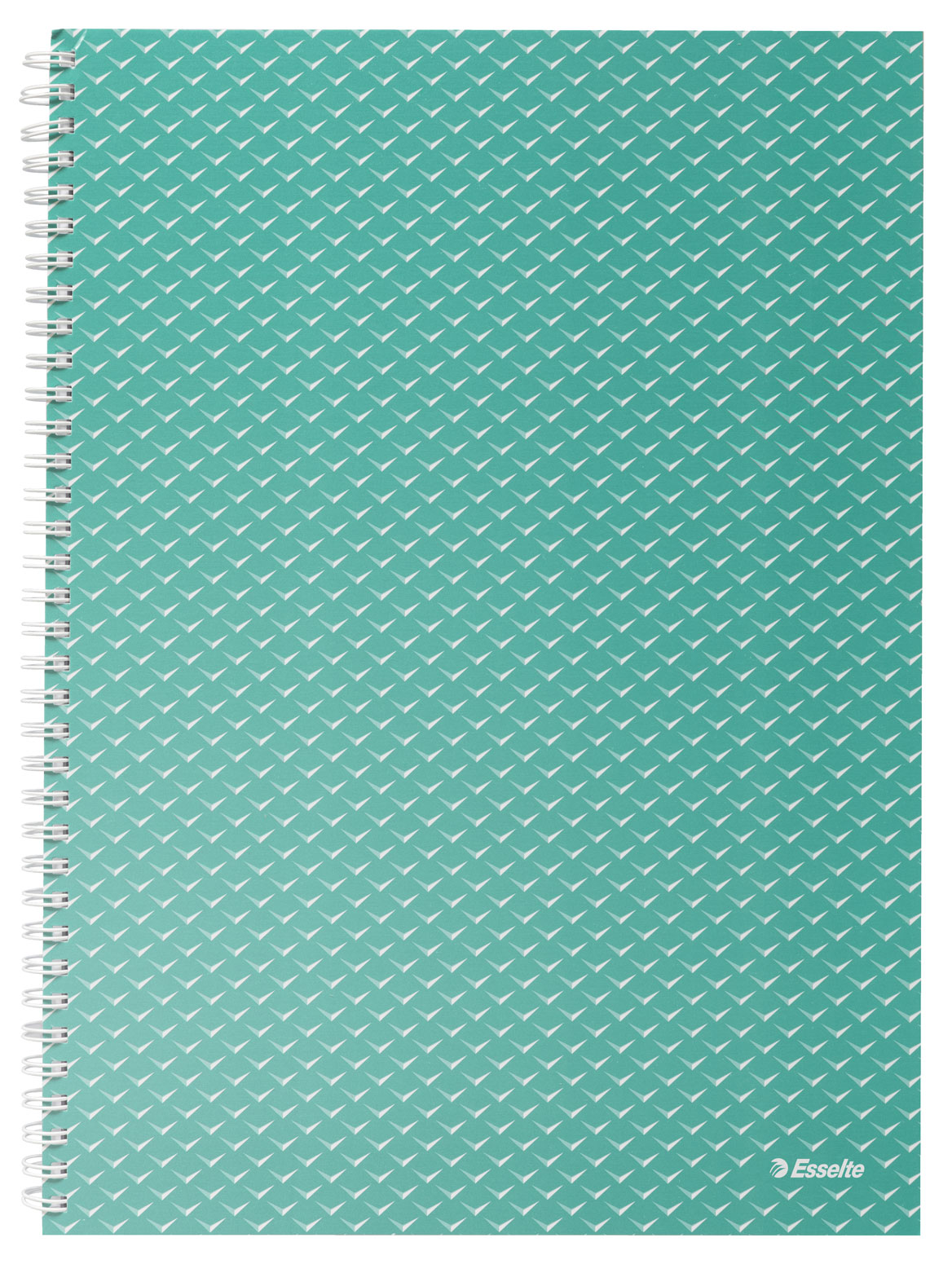 caiet-birou-spira-a4-80f-dr-verde-coperta-carton-colourbreeze-esselte_10329060_1_1692680566