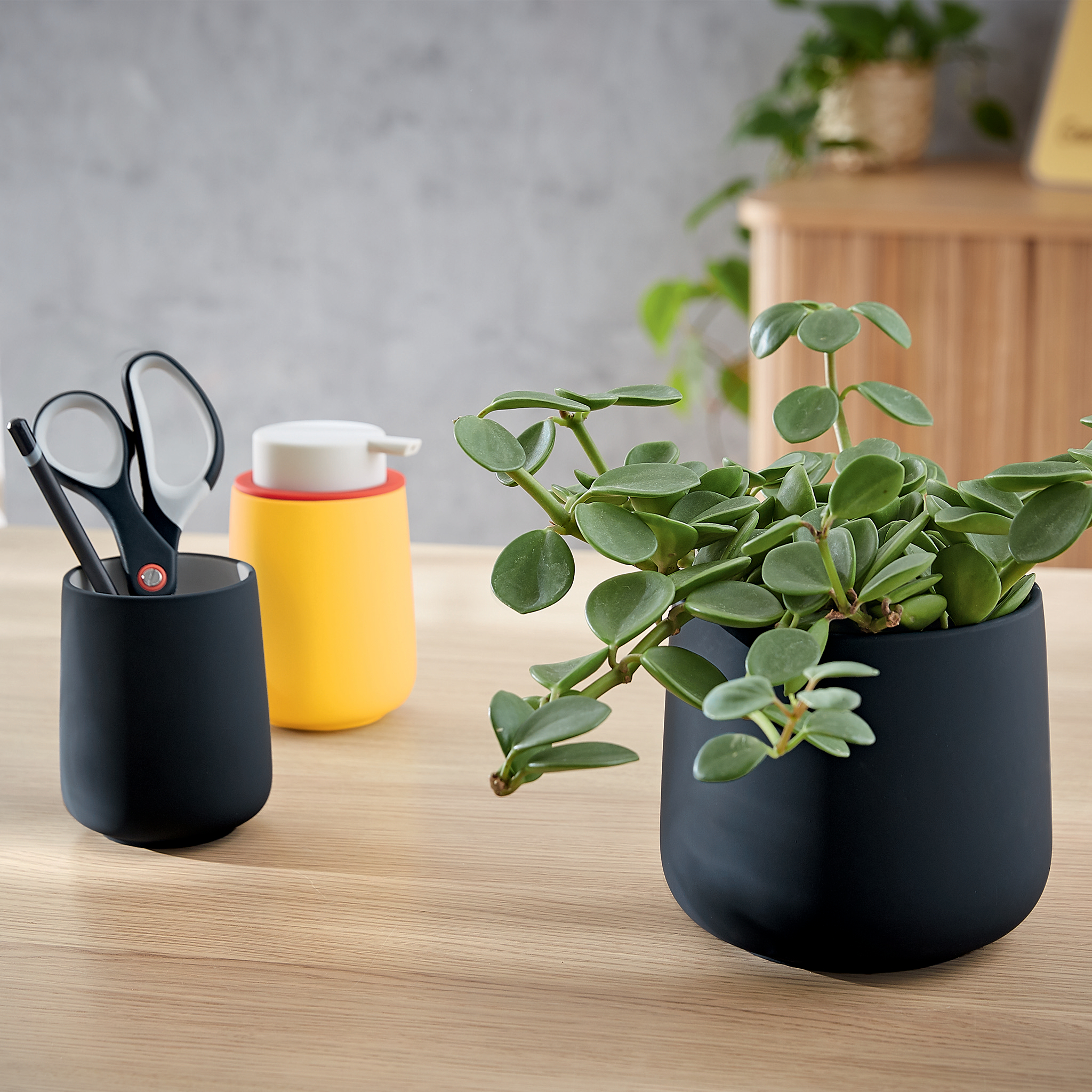 ghiveci-pentru-plante-gri-antracit-cosy-leitz_10766326_4_1696483800