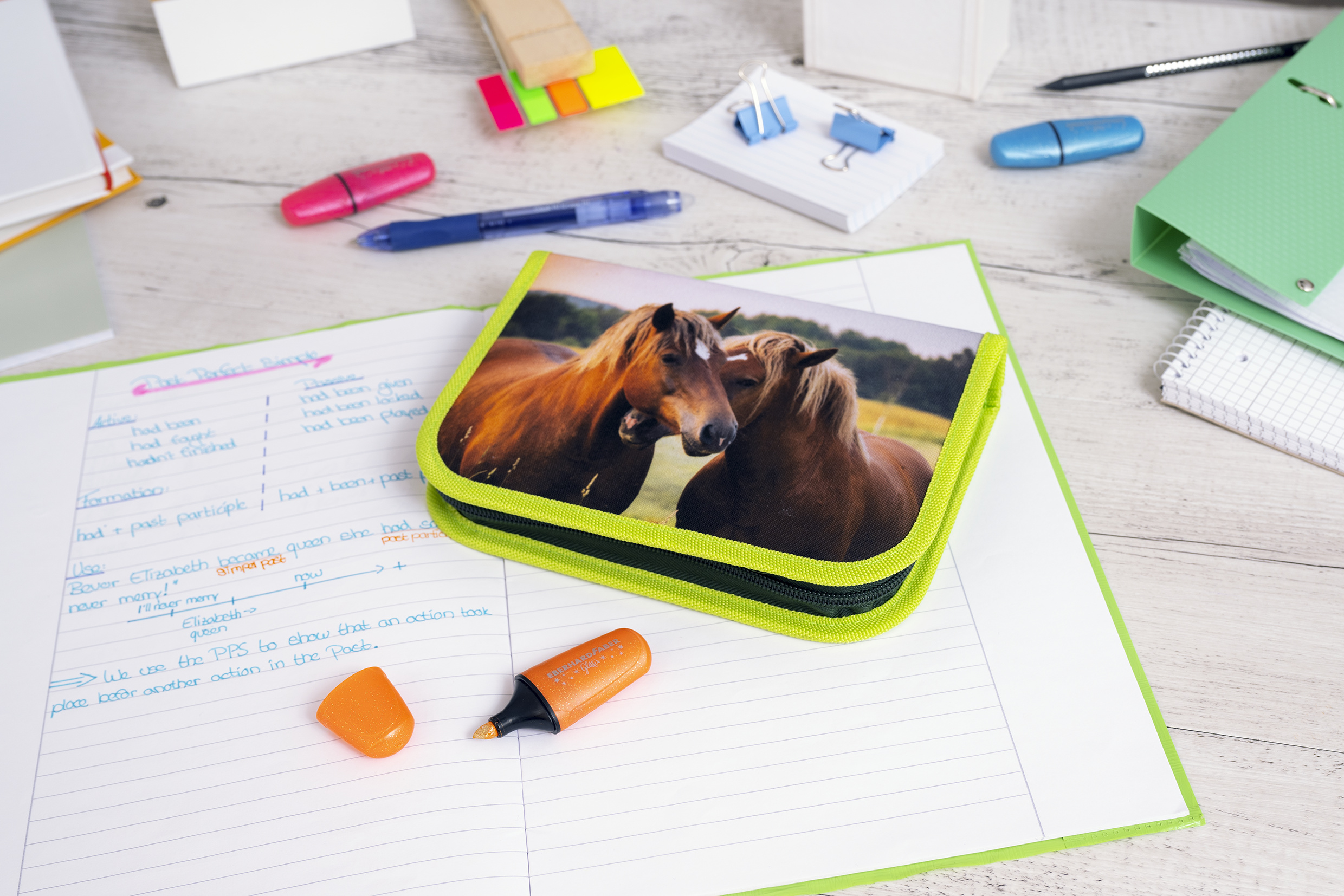 577589_Pencil case horse filled with 42 items